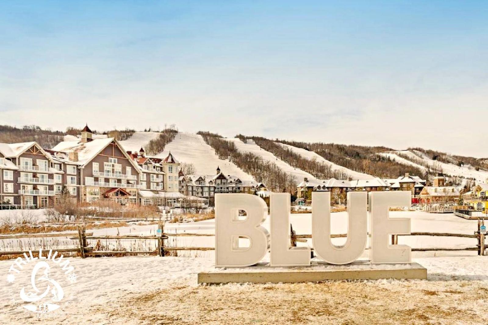 Blue Mountain, Collingwood - Loft Condo, Sleeps 4 Blue Mountains Eksteriør bilde