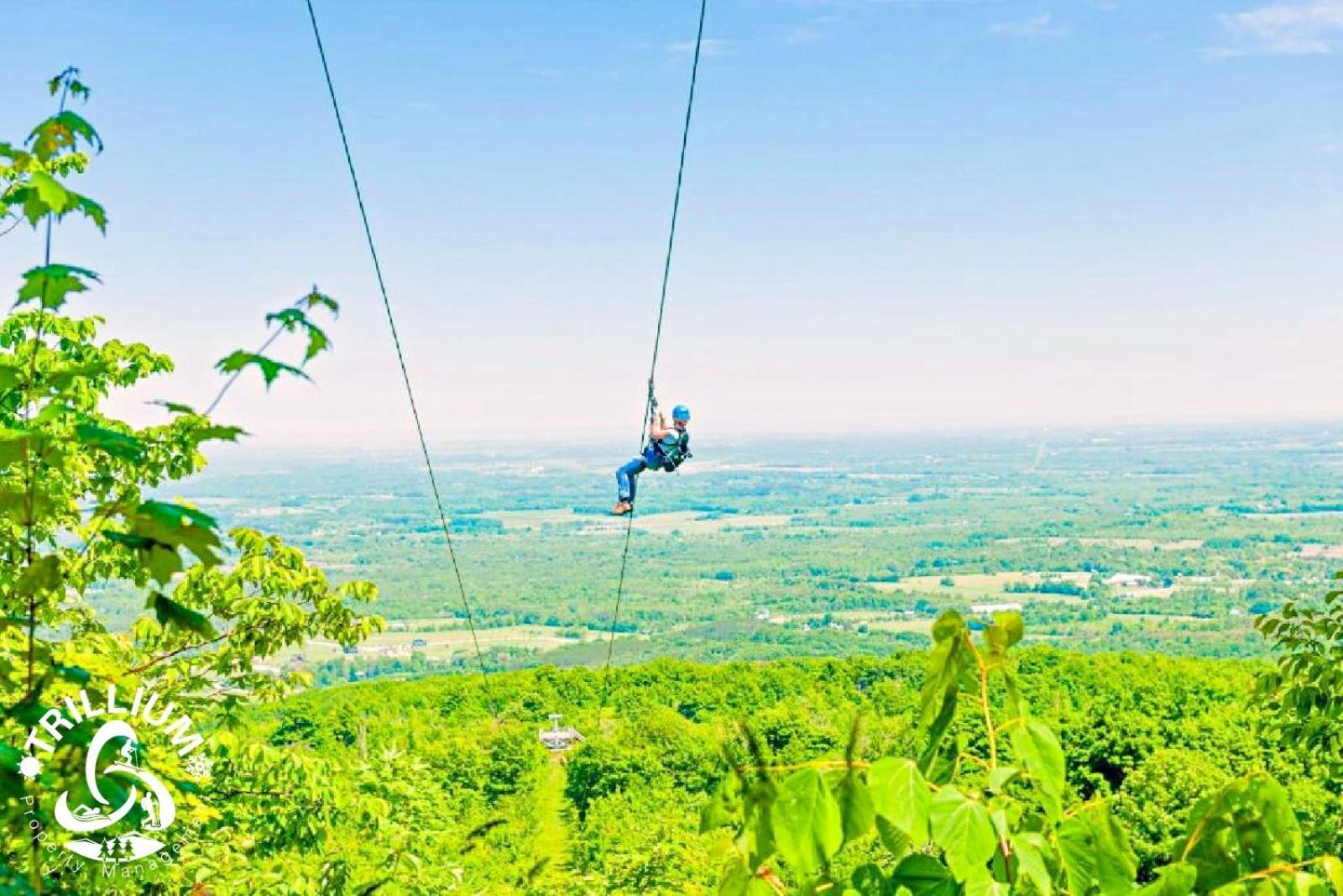 Blue Mountain, Collingwood - Loft Condo, Sleeps 4 Blue Mountains Eksteriør bilde