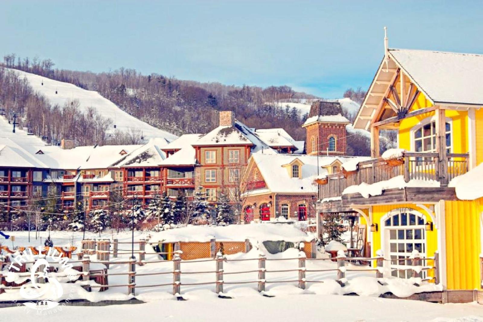 Blue Mountain, Collingwood - Loft Condo, Sleeps 4 Blue Mountains Eksteriør bilde