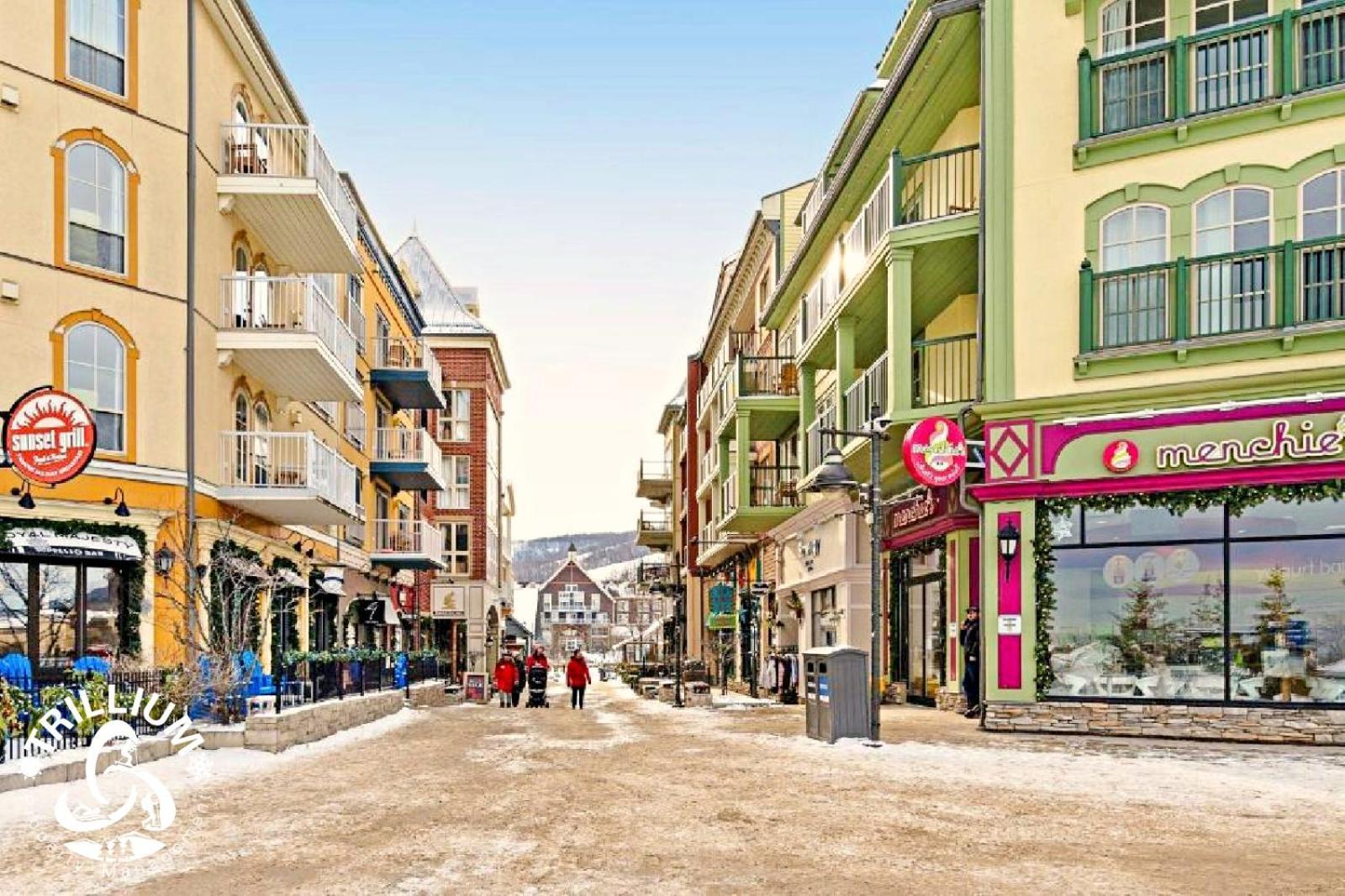 Blue Mountain, Collingwood - Loft Condo, Sleeps 4 Blue Mountains Eksteriør bilde